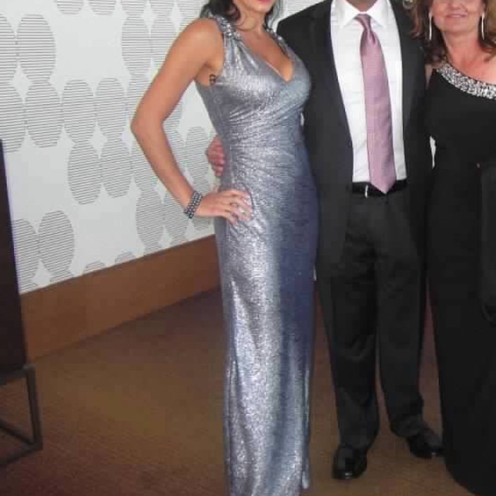 David Meister Silver Gown